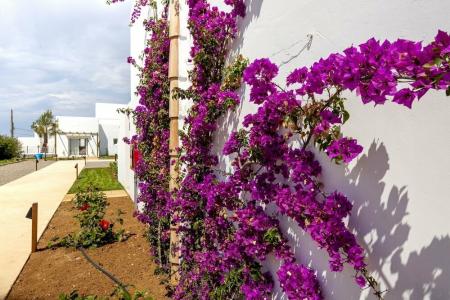 Eques Petit Resort - 5