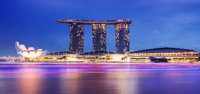 81 Orchid - SG Clean - 1