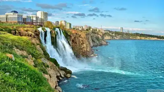 Royal City - 6