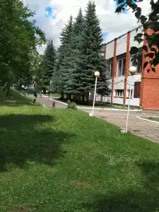 Сосновый - 47