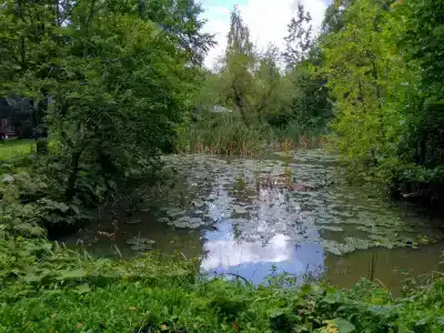 Нежный - 13