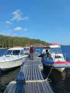 Аурелия - 6