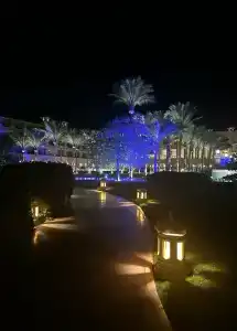 Baron Palace Sahl Hasheesh - 4