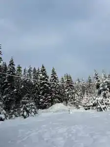 Гусихаус - 44