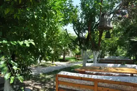 San Simon - 40
