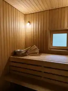 Сосны. Пространствие - 27