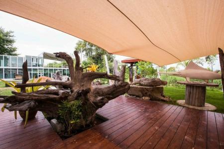 Tree Roots Retreat - 5