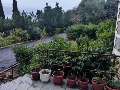 Юго-славия - 13