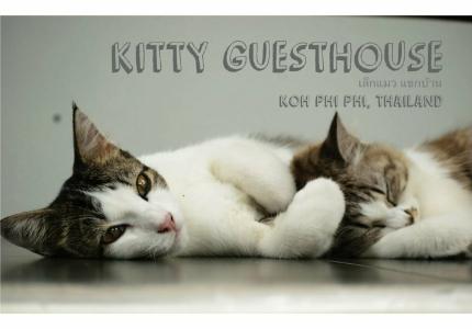 Kitty Guesthouse - 13