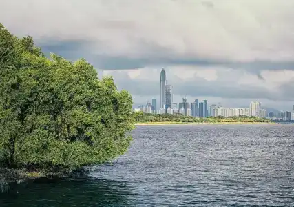 Kempinski Shenzhen - 34