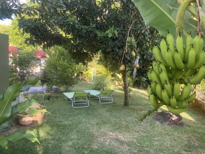 The Orchard Holiday Home - 23