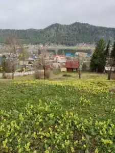 Усадьба Сафроновых - 46