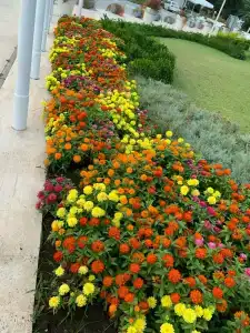 Truemars & Suites - 24