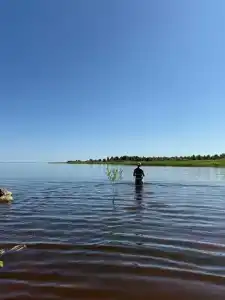 Кубенский берег - 22