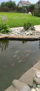 Загородное - 92