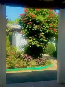 Manor Beach Kazantip - 41