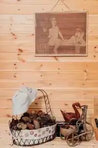 Карельская сказка - 49