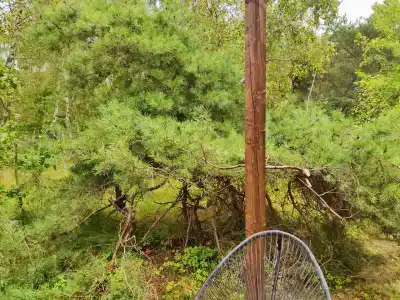 Балтийские Холмы - 46