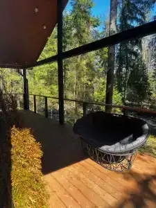 Fox in forest - 28