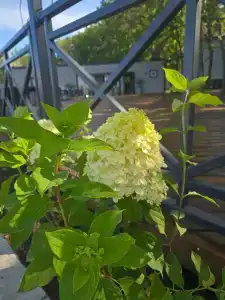 Высота - 7
