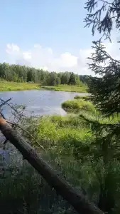 Великорецкое Ковчег - 25