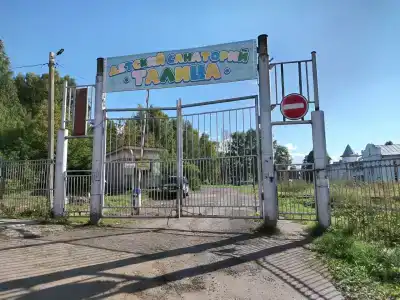 Талица - 9