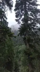 Альпенхауз - 28