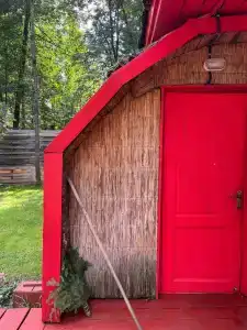 Гуси-Лебеди - 25