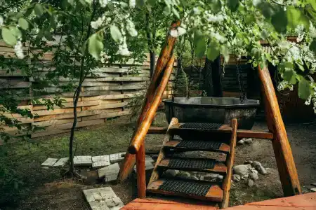 Гуси-Лебеди - 81