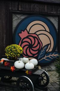 Огни Сочи - 82