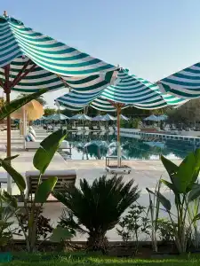 Desert Rose Resort - 57