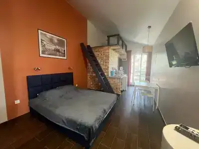 Ibis 10 - 33