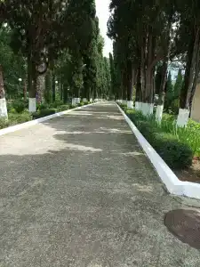 Пионер - 48