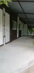 Светлана - 23