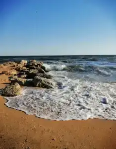 Азовские жемчужины - 41