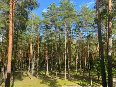 Березина - 4