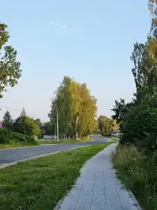 Вегвизир - 14