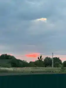 Dмитриевский - 11