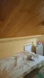 Каргополь - 67