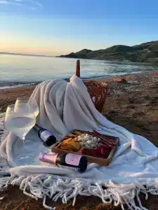 Амбассадор - 97