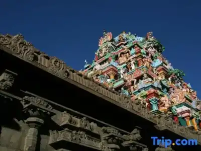 The Residency, Chennai - 84