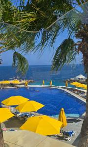 Albatros Citadel Resort - 17