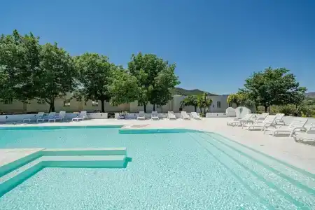 Le Mimose - 12