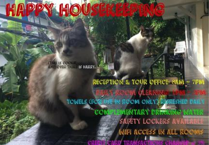 Kitty Guesthouse - 25