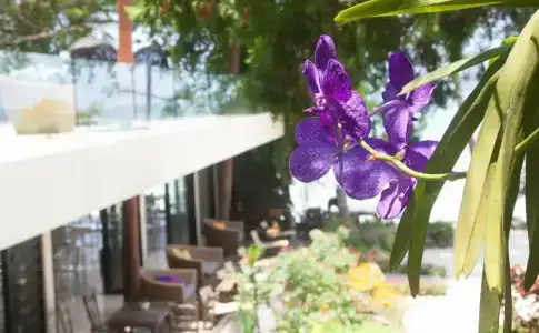 Sylvan Koh Chang - 27