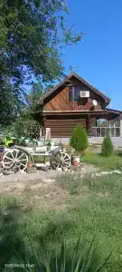 Жара - 26