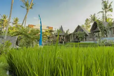 Menzel Ubud - 15
