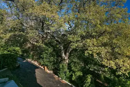 Юго-славия - 17