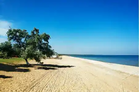 Новоотрадное-1 - 1