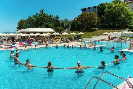 Феста Панорама - 4
